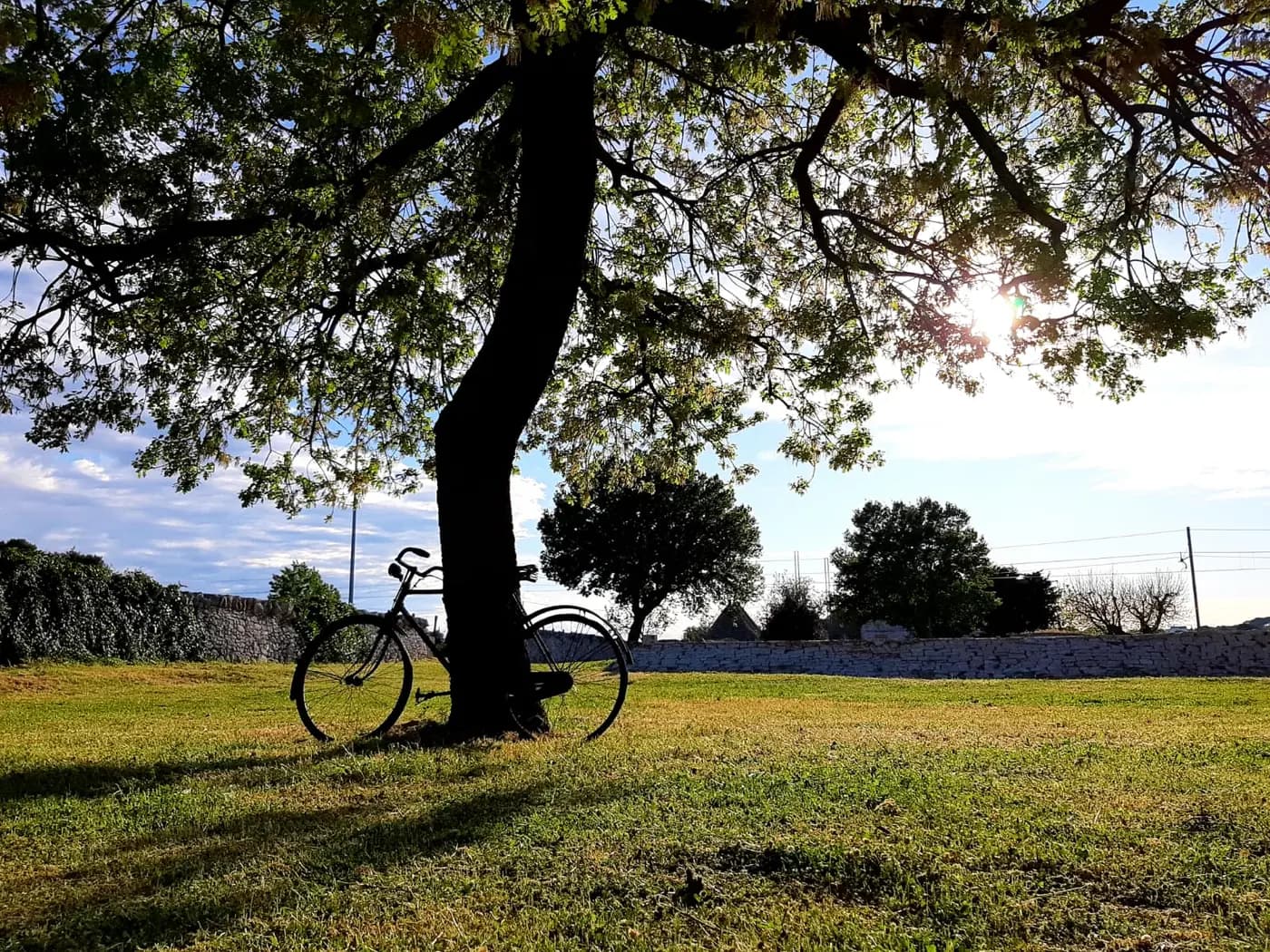 bicicletta I pastini