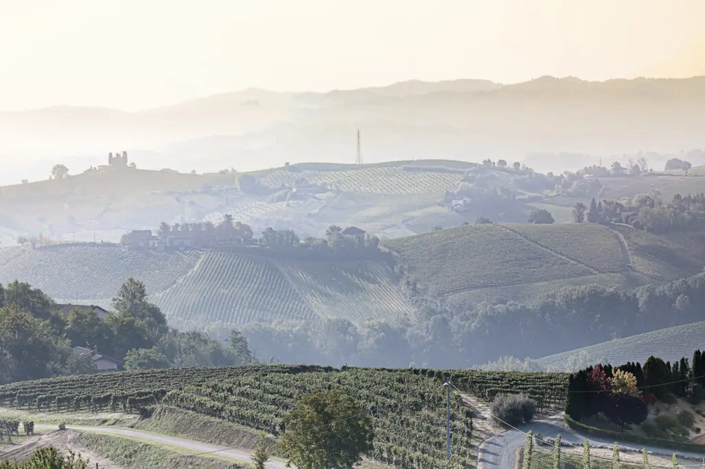Foto bij het verhaal Familie Aresca: Barolo